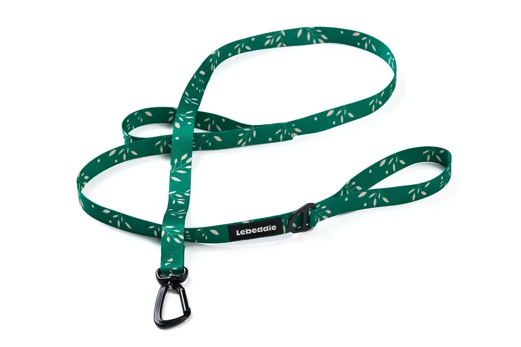 Vôdzka Eddieho Vetva