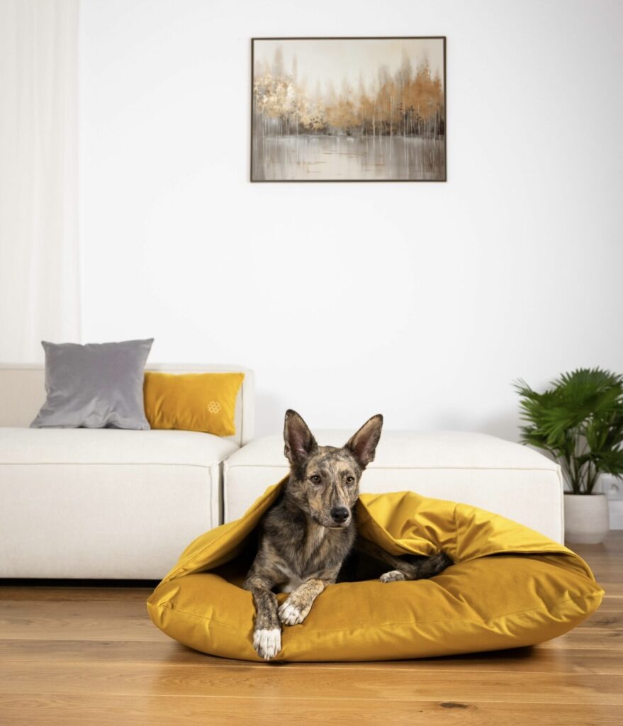 dog_bed_pillow_cushion_lifestyle_lebeddie_8744-min-1365x2048 2