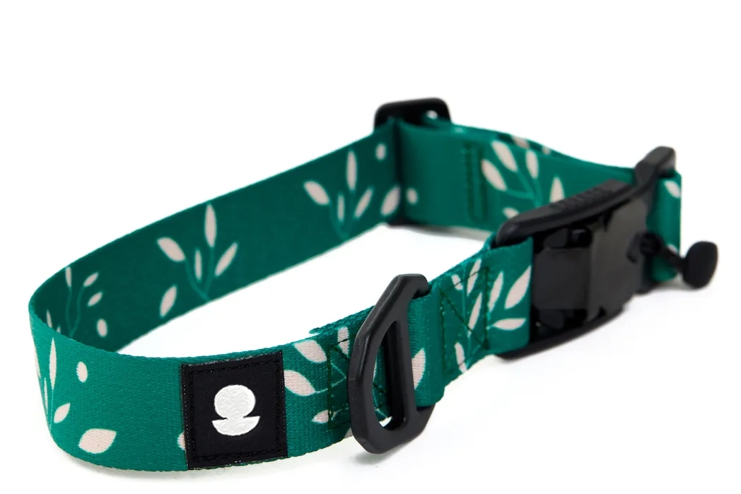 Obojok Eddieho Vetva