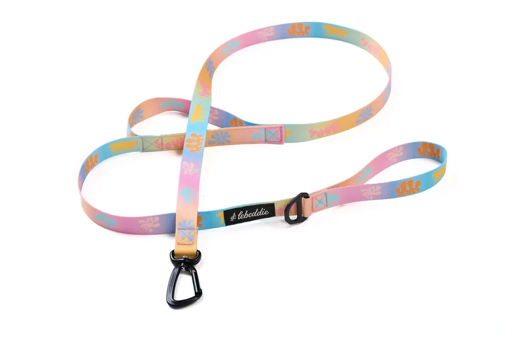 Vodítko na míru - Améby