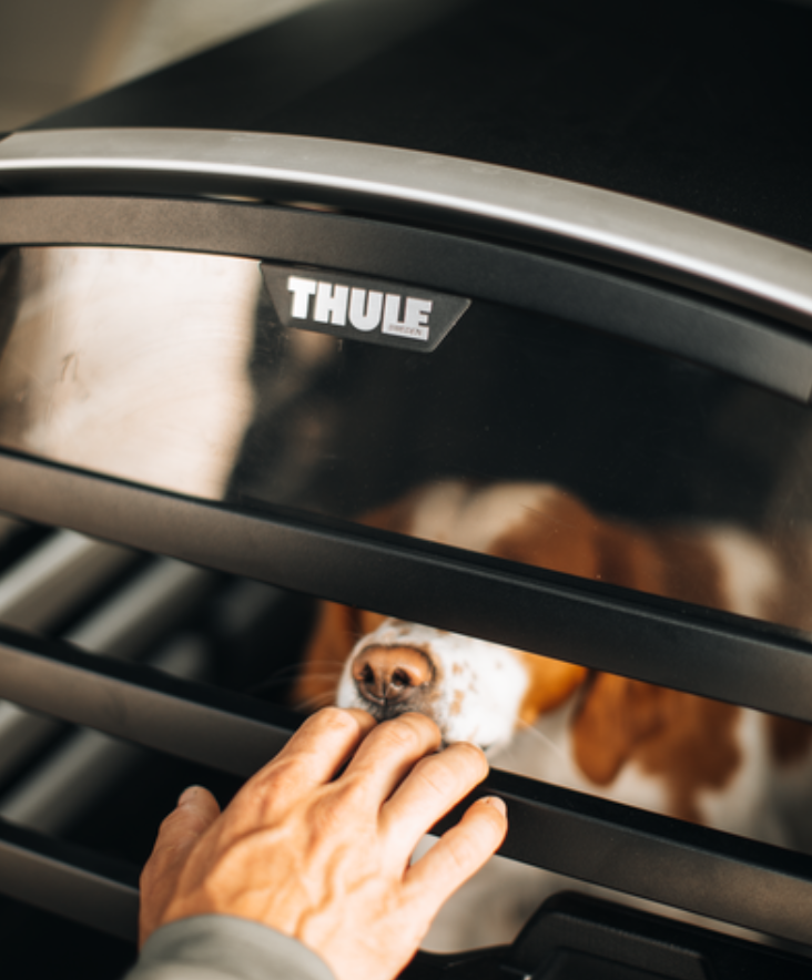 thule-allax-live-3